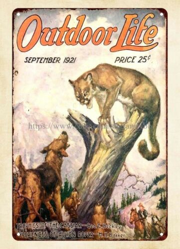 Outdoor Hunting Dogs - 1921년 월 1921 잡지 표지 야외
