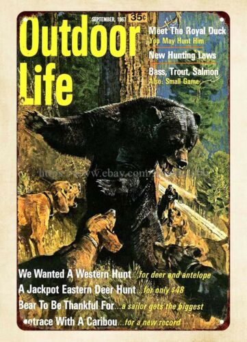 Outdoor Hunting Dogs - 사무실 벽 장식 1967 야외 생활