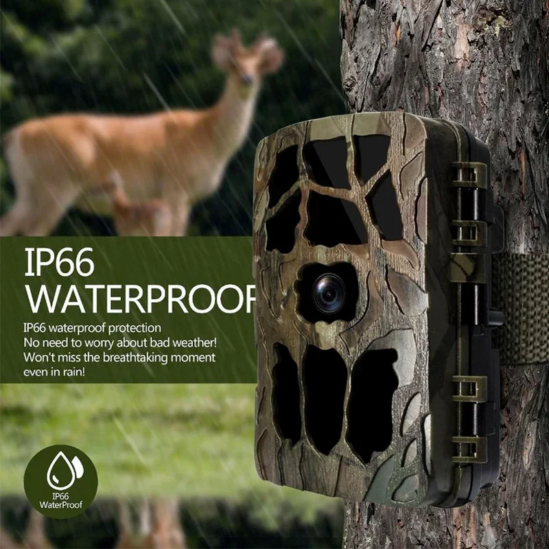H982 IP66 방수 4K 야외 적외선 1080P 나 - Outdoor Hunting Videos 리뷰 및 가격