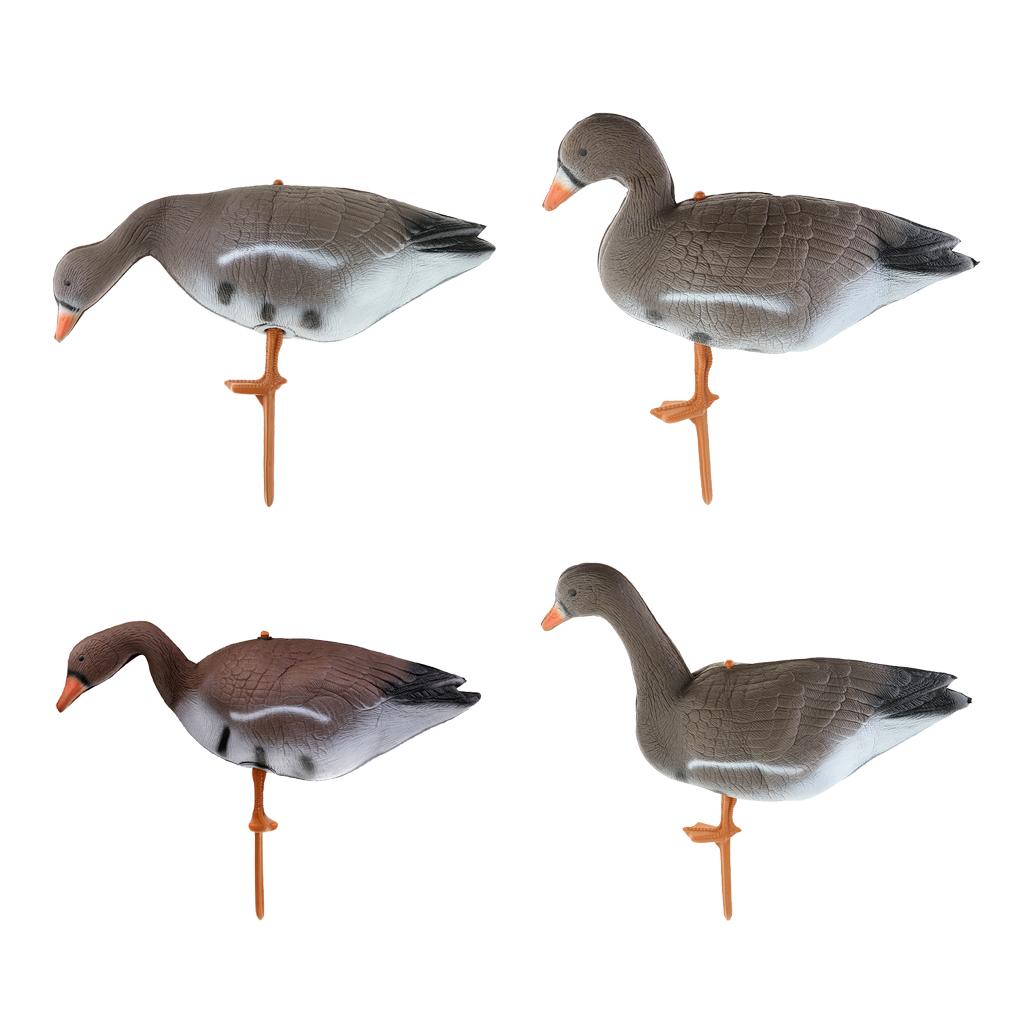 접이식 칠면조 모형, XPE 소재, 사냥용, 야생 조류 - Hunting & Outdoor Supplies Vanderbijlpark 리뷰 및 가격