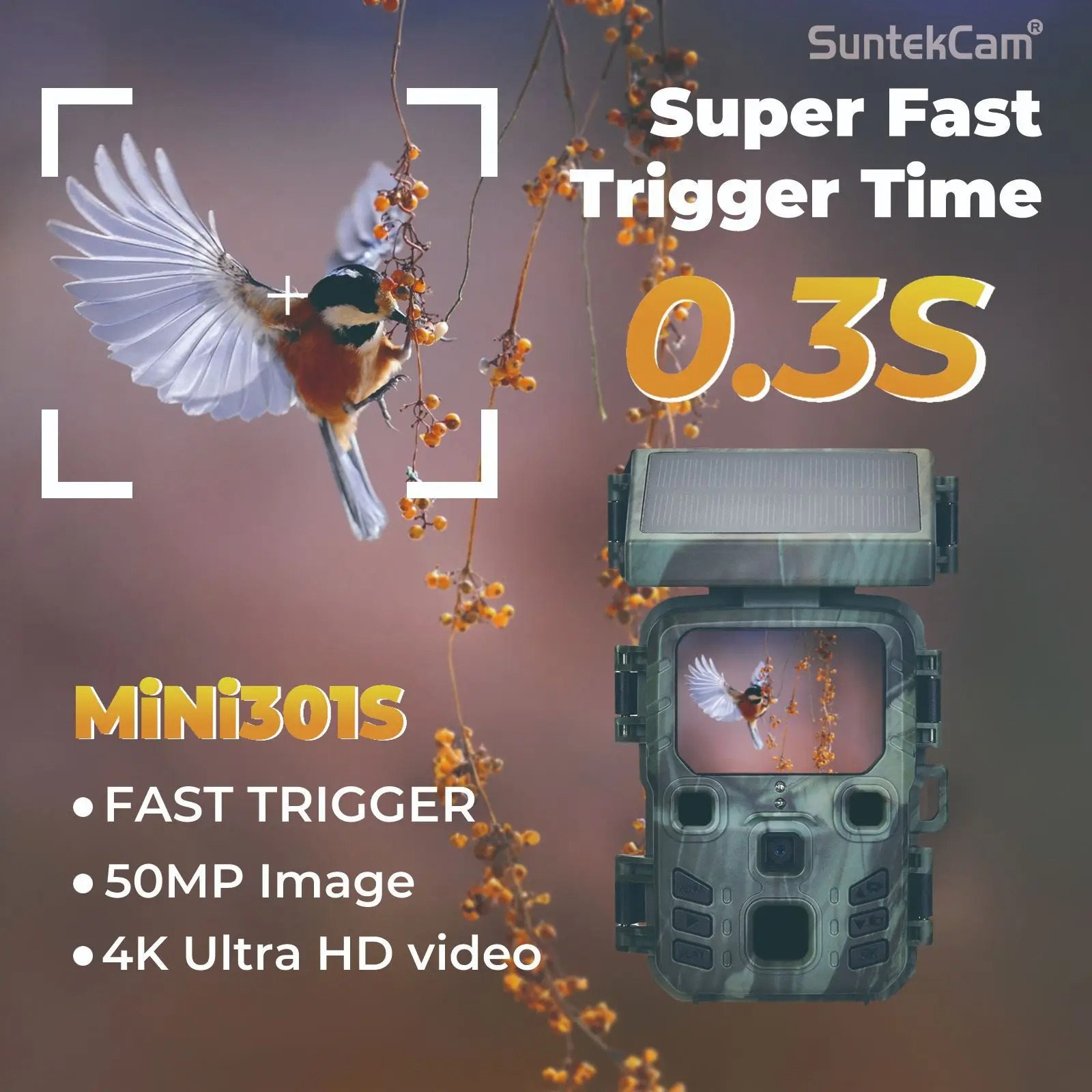 4K 무선 트레일 카메라 50MP 나이트 비전 Mini - Outdoor Hunting Camera Wireless 리뷰 및 가격
